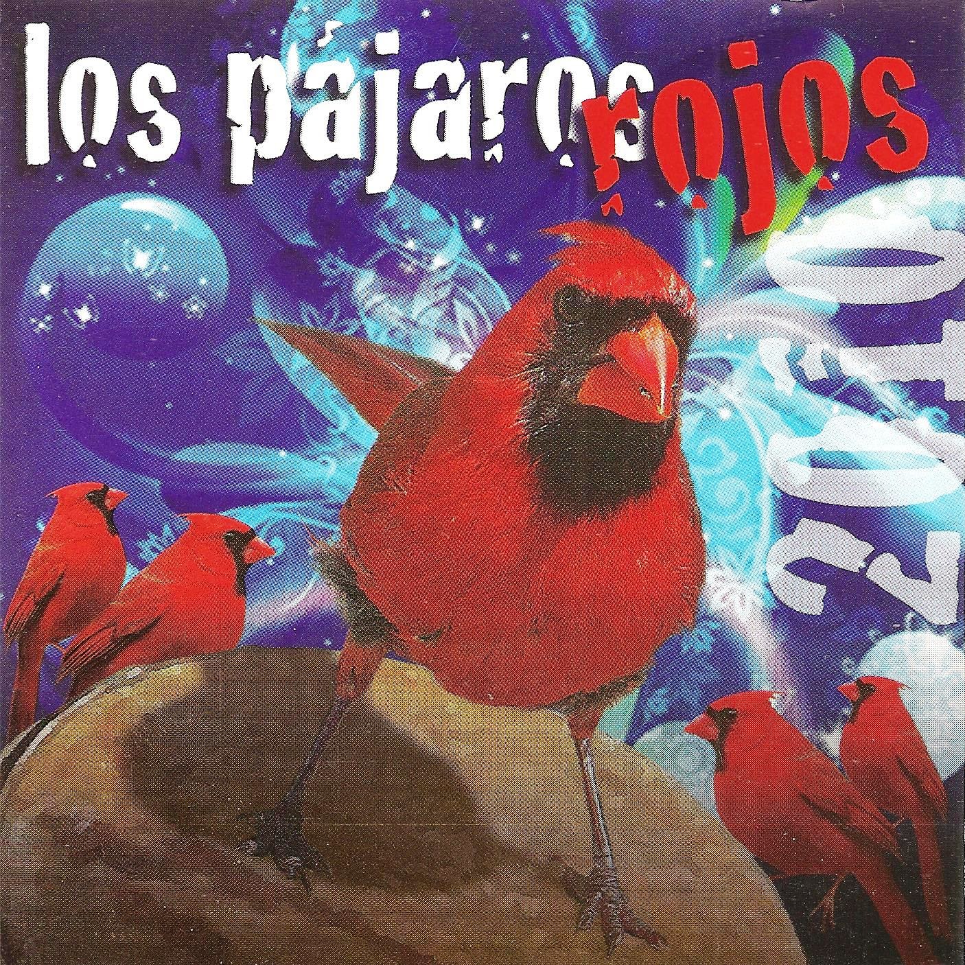 pajaros2010